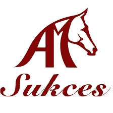 Sukces