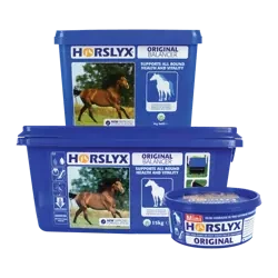 HORSLYX LIZAWKA 650g ORIGINAL (mini)
