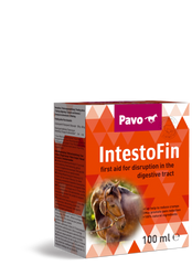 PAVO IntestoFin 100 ml