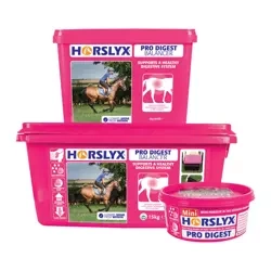 HORSLYX LIZAWKA 650g PRO DIGEST(mini)