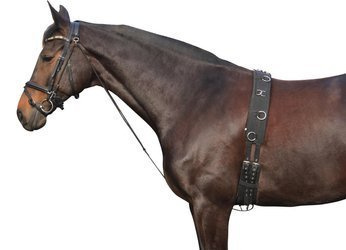 YORK CZAMBON SKÓRZANY