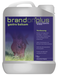BRANDON+ Gastro Balsam na wrzody 2,5 l