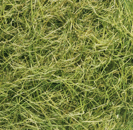 Sianokiszonka Jopack 18 kg