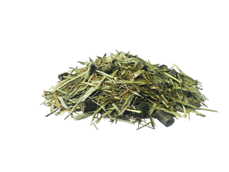 PAVO DailyPlus 12 kg