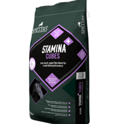 SPILLERS 20kg STAMINA CUBES