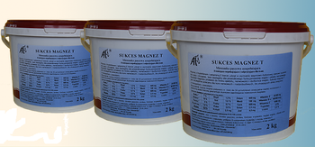 SUKCES MAGNEZ T 2KG