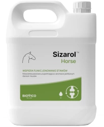 BIOVICO SIZAROL 2L smak jabłkowy