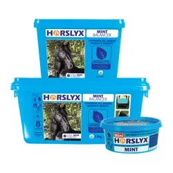 HORSLYX LIZAWKA 5kg MIĘTOWA