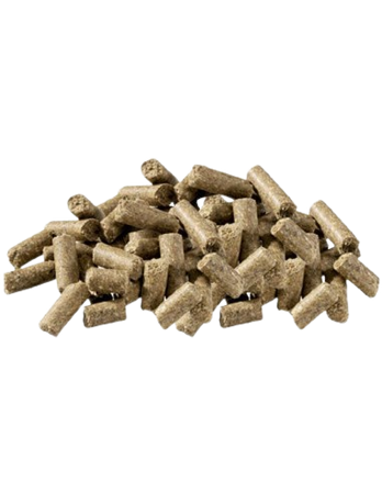 PAVO AllSports 20 kg – Granulat